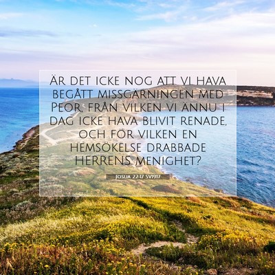 Picture 07 - Josua 22:17 SV1917 - Är det icke nog att vi hava begått - Bible Verse Picture