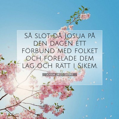 Picture 07 - Josua 24:25 SV1917 - Så slöt då Josua på den dagen ett förbund - Bible Verse Picture