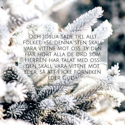 Picture 07 - Josua 24:27 SV1917 - Och Josua sade till allt folket: »Se, denna sten - Bible Verse Picture