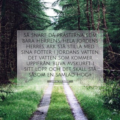 Picture 07 - Josua 3:13 SV1917 - Så snart då prästerna som bära HERRENS, hela - Bible Verse Picture