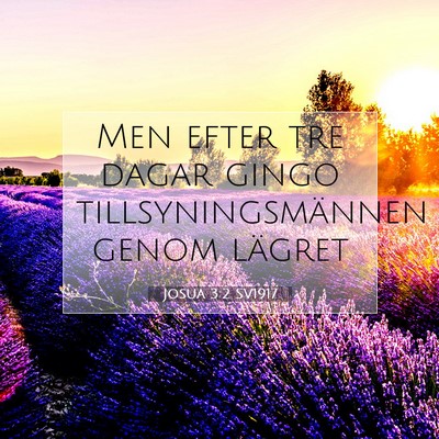 Picture 07 - Josua 3:2 SV1917 - Men efter tre dagar gingo tillsyningsmännen - Bible Verse Picture
