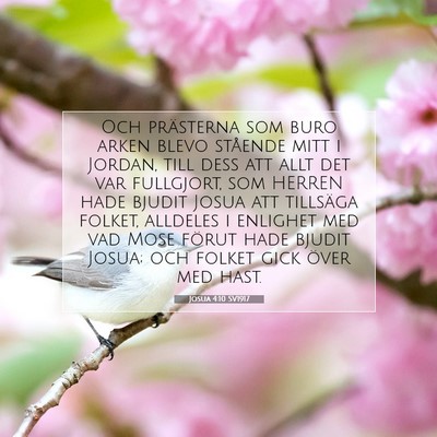 Picture 07 - Josua 4:10 SV1917 - Och prästerna som buro arken blevo stående mitt - Bible Verse Picture