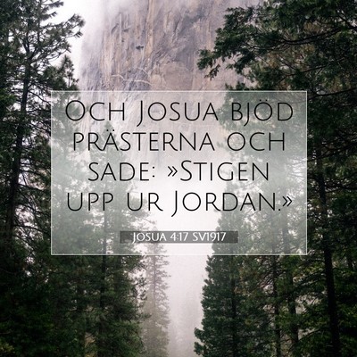 Picture 07 - Josua 4:17 SV1917 - Och Josua bjöd prästerna och sade: »Stigen upp - Bible Verse Picture