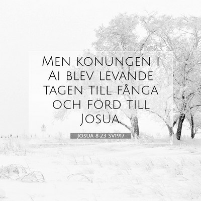 Picture 07 - Josua 8:23 SV1917 - Men konungen i Ai blev levande tagen till fånga - Bible Verse Picture