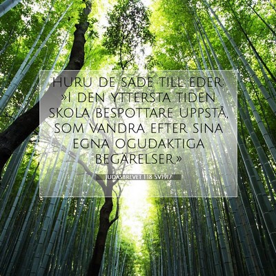Picture 07 - Judasbrevet 1:18 SV1917 - huru de sade till eder: »I den yttersta tiden - Bible Verse Picture