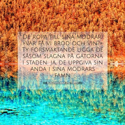 Picture 07 - Klagovisorna 2:12 SV1917 - De ropa till sina mödrar: »Var få vi bröd och - Bible Verse Picture