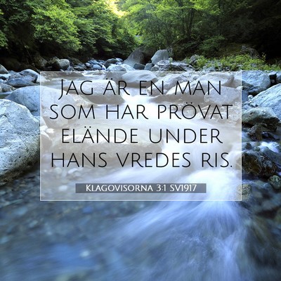 Picture 07 - Klagovisorna 3:1 SV1917 - Jag är en man som har prövat elände under hans - Bible Verse Picture