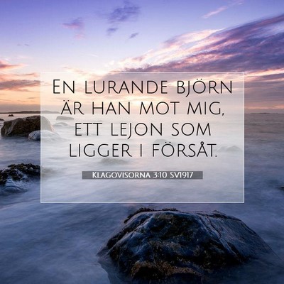 Picture 07 - Klagovisorna 3:10 SV1917 - En lurande björn är han mot mig, ett lejon som - Bible Verse Picture