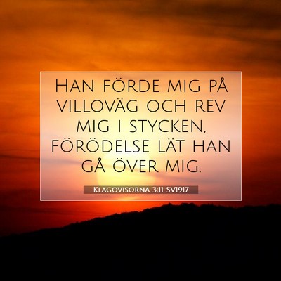 Picture 07 - Klagovisorna 3:11 SV1917 - Han förde mig på villoväg och rev mig i - Bible Verse Picture