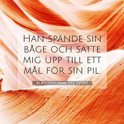 Picture 07 - Klagovisorna 3:12 SV1917 - Han spände sin båge och satte mig upp till ett - Bible Verse Picture