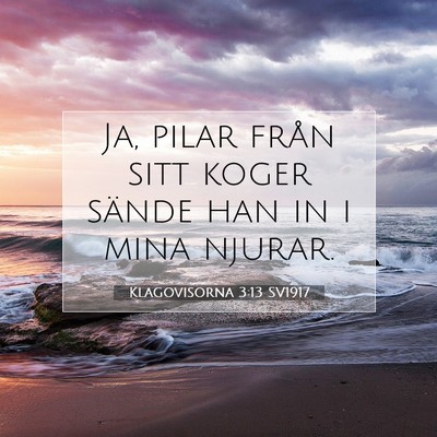 Picture 07 - Klagovisorna 3:13 SV1917 - Ja, pilar från sitt koger sände han in i mina - Bible Verse Picture
