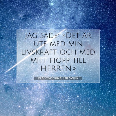 Picture 07 - Klagovisorna 3:18 SV1917 - Jag sade: »Det är ute med min livskraft och med - Bible Verse Picture