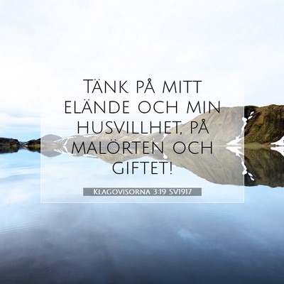 Picture 07 - Klagovisorna 3:19 SV1917 - Tänk på mitt elände och min husvillhet, på - Bible Verse Picture