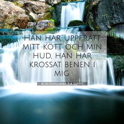 Picture 07 - Klagovisorna 3:4 SV1917 - Han har uppfrätt mitt kött och min hud, han har - Bible Verse Picture