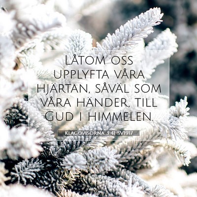 Picture 07 - Klagovisorna 3:41 SV1917 - Låtom oss upplyfta våra hjärtan, såväl som - Bible Verse Picture