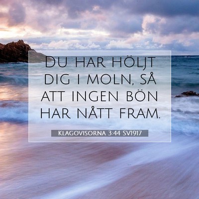 Picture 07 - Klagovisorna 3:44 SV1917 - Du har höljt dig i moln, så att ingen bön har - Bible Verse Picture