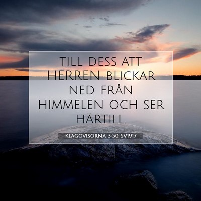 Picture 07 - Klagovisorna 3:50 SV1917 - till dess att HERREN blickar ned från himmelen - Bible Verse Picture