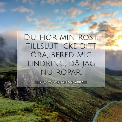 Picture 07 - Klagovisorna 3:56 SV1917 - Du hör min röst; tillslut icke ditt öra, bered - Bible Verse Picture