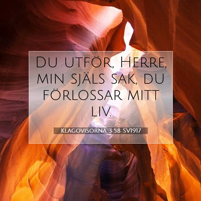 Picture 07 - Klagovisorna 3:58 SV1917 - Du utför, Herre, min själs sak, du förlossar - Bible Verse Picture