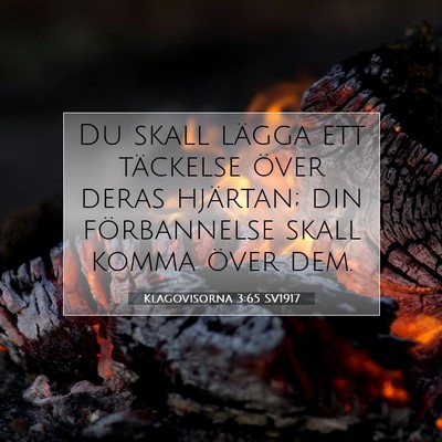 Picture 07 - Klagovisorna 3:65 SV1917 - Du skall lägga ett täckelse över deras - Bible Verse Picture