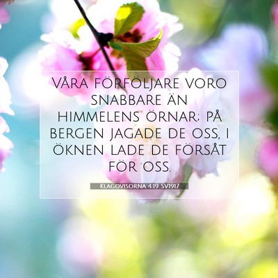 Picture 07 - Klagovisorna 4:19 SV1917 - Våra förföljare voro snabbare än himmelens - Bible Verse Picture