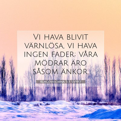 Picture 07 - Klagovisorna 5:3 SV1917 - Vi hava blivit värnlösa, vi hava ingen fader; - Bible Verse Picture