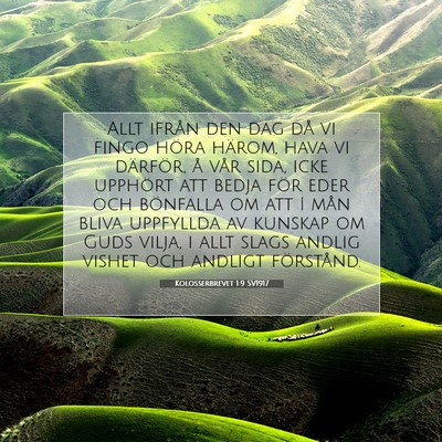 Picture 07 - Kolosserbrevet 1:9 SV1917 - Allt ifrån den dag då vi fingo höra härom, - Bible Verse Picture