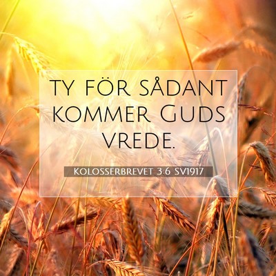 Picture 07 - Kolosserbrevet 3:6 SV1917 - ty för sådant kommer Guds - Bible Verse Picture