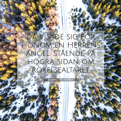Picture 07 - Lukas 1:11 SV1917 - Då visade sig för honom en Herrens ängel, - Bible Verse Picture