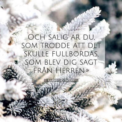 Picture 07 - Lukas 1:45 SV1917 - Och salig är du, som trodde att det skulle - Bible Verse Picture