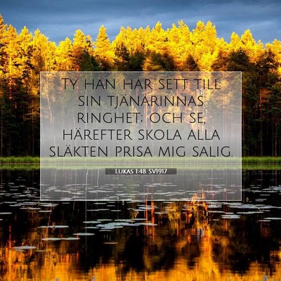 Picture 07 - Lukas 1:48 SV1917 - Ty han har sett till sin tjänarinnas ringhet; - Bible Verse Picture