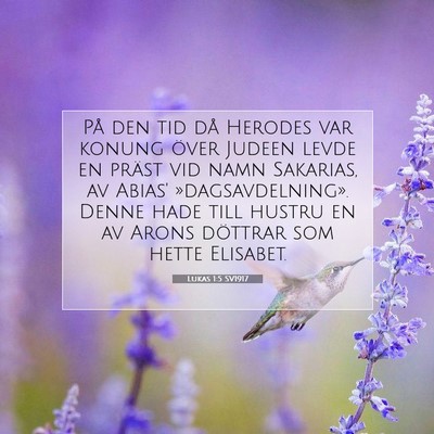 Picture 07 - Lukas 1:5 SV1917 - På den tid då Herodes var konung över Judeen - Bible Verse Picture