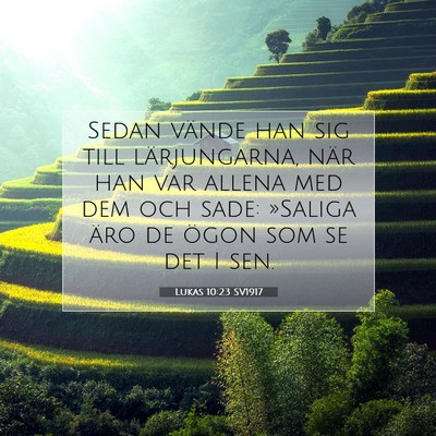 Picture 07 - Lukas 10:23 SV1917 - Sedan vände han sig till lärjungarna, när han - Bible Verse Picture