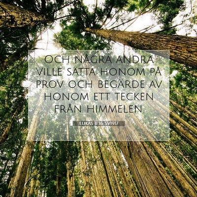 Picture 07 - Lukas 11:16 SV1917 - Och några andra ville sätta honom på prov och - Bible Verse Picture