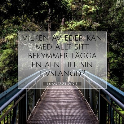 Picture 07 - Lukas 12:25 SV1917 - Vilken av eder kan med allt sitt bekymmer lägga - Bible Verse Picture