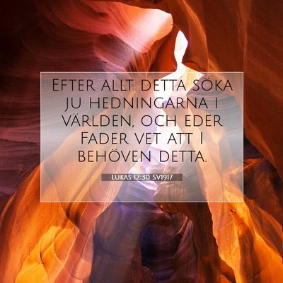 Picture 07 - Lukas 12:30 SV1917 - Efter allt detta söka ju hedningarna i världen, - Bible Verse Picture