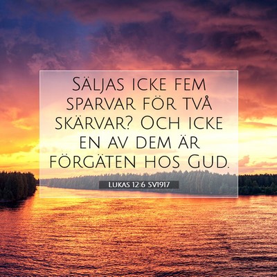 Picture 07 - Lukas 12:6 SV1917 - Säljas icke fem sparvar för två skärvar? Och - Bible Verse Picture