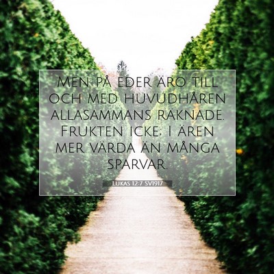 Picture 07 - Lukas 12:7 SV1917 - Men på eder äro till och med huvudhåren - Bible Verse Picture