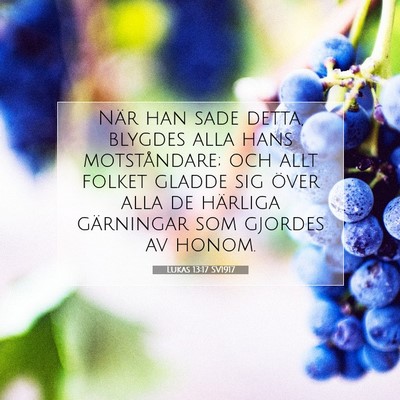 Picture 07 - Lukas 13:17 SV1917 - När han sade detta, blygdes alla hans - Bible Verse Picture
