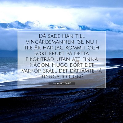 Picture 07 - Lukas 13:7 SV1917 - Då sade han till vingårdsmannen: 'Se, nu i tre - Bible Verse Picture