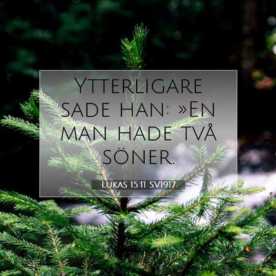 Picture 07 - Lukas 15:11 SV1917 - Ytterligare sade han: »En man hade två - Bible Verse Picture