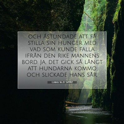 Picture 07 - Lukas 16:21 SV1917 - och åstundade att få stilla sin hunger med vad - Bible Verse Picture