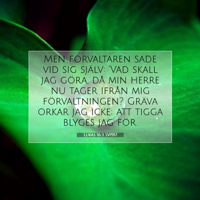 Picture 07 - Lukas 16:3 SV1917 - Men förvaltaren sade vid sig själv: 'Vad skall - Bible Verse Picture