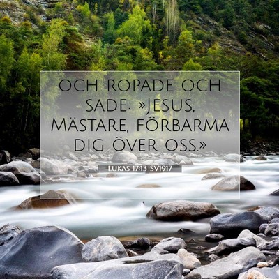 Picture 07 - Lukas 17:13 SV1917 - och ropade och sade: »Jesus, Mästare, förbarma - Bible Verse Picture
