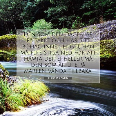 Picture 07 - Lukas 17:31 SV1917 - Den som den dagen är på taket och har sitt - Bible Verse Picture
