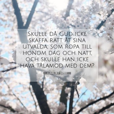 Picture 07 - Lukas 18:7 SV1917 - Skulle då Gud icke skaffa rätt åt sina - Bible Verse Picture