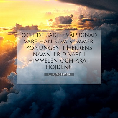 Picture 07 - Lukas 19:38 SV1917 - och de sade: »Välsignad vare han som kommer, - Bible Verse Picture