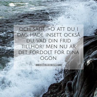 Picture 07 - Lukas 19:42 SV1917 - och sade: »O att du i dag hade insett, också - Bible Verse Picture