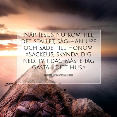 Picture 07 - Lukas 19:5 SV1917 - När Jesus nu kom till det stället, såg han upp - Bible Verse Picture