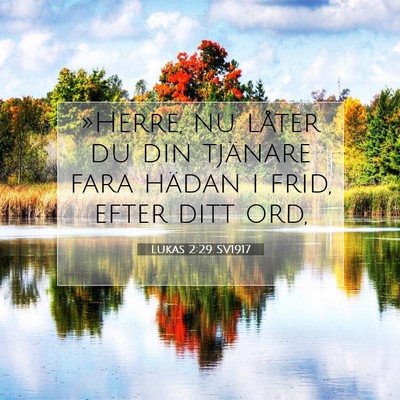 Picture 07 - Lukas 2:29 SV1917 - »Herre, nu låter du din tjänare fara hädan i - Bible Verse Picture